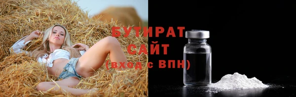индика Бронницы