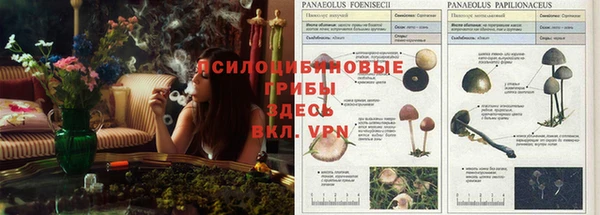 индика Бронницы