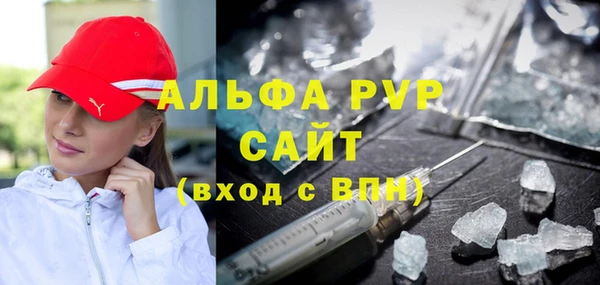 индика Бронницы